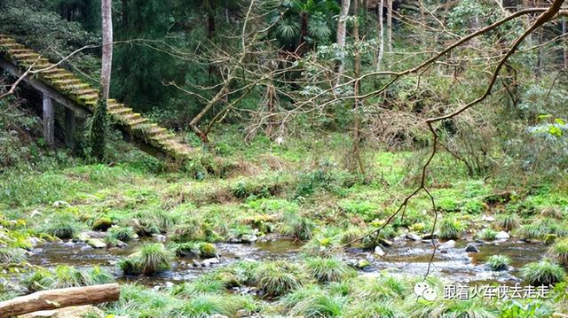 到张家界三日游，魅力湘西张家界三日游