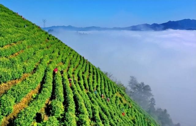 丹寨旅游景点大全，丹寨有哪些旅游景点（什么绝色美景引来300人观看）