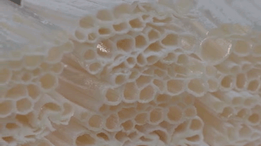 潮汕美食有哪些，潮汕美食推荐前十