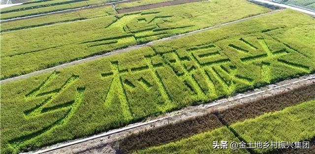 全域土地综合整治，全域土地综合整治基本原则（全域土地综合整治——优化三生空间格局）