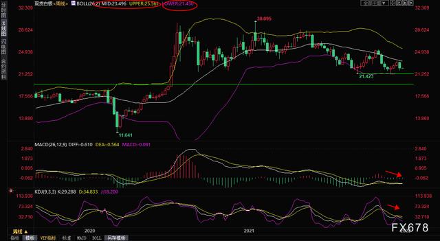 黄金会涨还是跌，今年黄金是涨了还是跌了（2023年5月4日各大金店黄金价格多少钱一克）