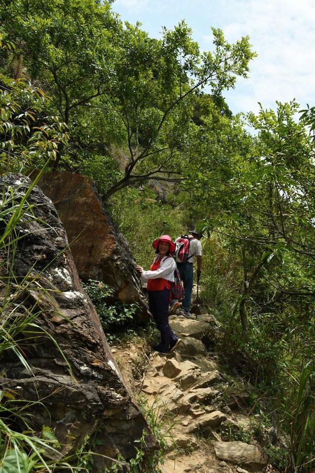 关于深圳梧桐山简介，深圳之巅——梧桐山