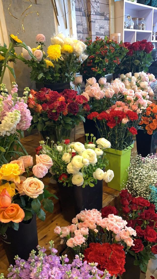 关于玫瑰的文案，玫瑰的唯美文案（有关玫瑰高级又浪漫的文案）