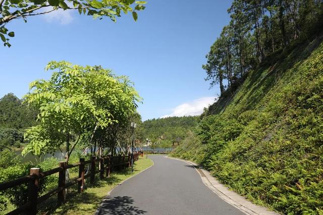 广州绿道田园景点，博罗这些高颜值绿道等你来打卡