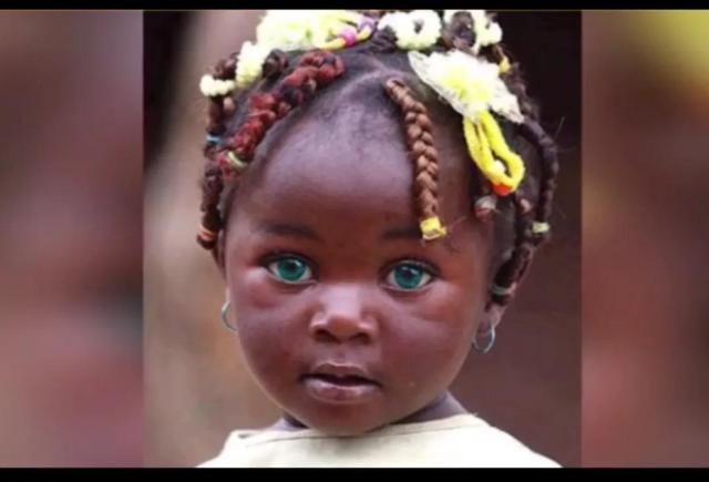 世界上最美的五种眼睛，中国人常见几种眼型