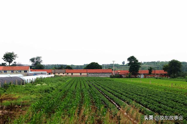 莱阳市万第镇各村详细地图，莱阳富水河胡留大桥附近的好风光