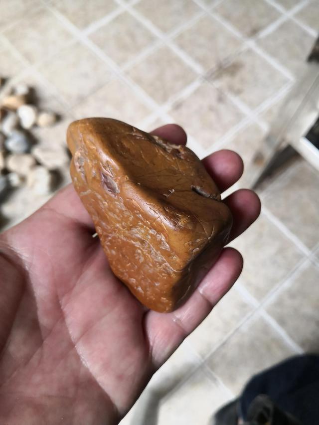 河流寻石记，渭河拾石记