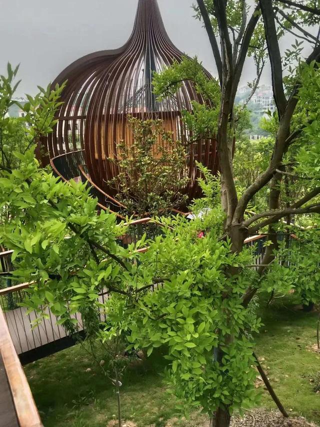 猇亭三国古战场风景，这处古战场再成时代的焦点