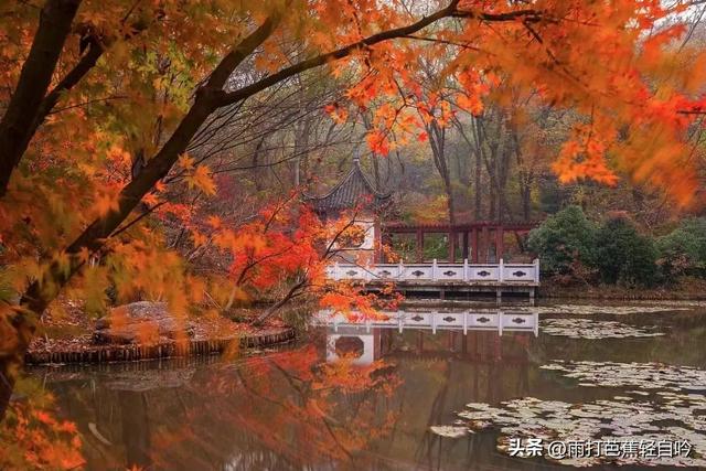 南京九华山旅游攻略住宿，赏南京至美秋色