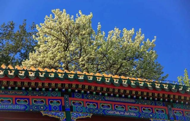 一生必去的40个旅游体验，一生必有的12个旅行体验