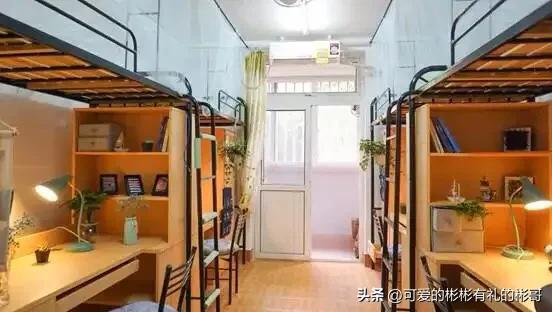 上海交大农学院，上海交通大学的工科学科排名