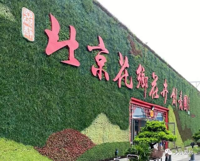 北京四大花市，丰台四大花市逛买攻略