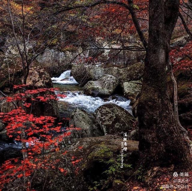 摄影家镜头中的老边沟，最美老边沟（卢永成——本溪老边沟摄影采风）