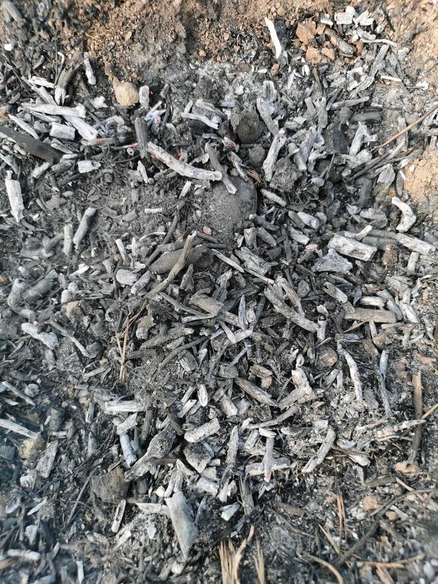 泉城烤薯小地瓜忆童年，村夫烤薯，口味统一，味道饱满