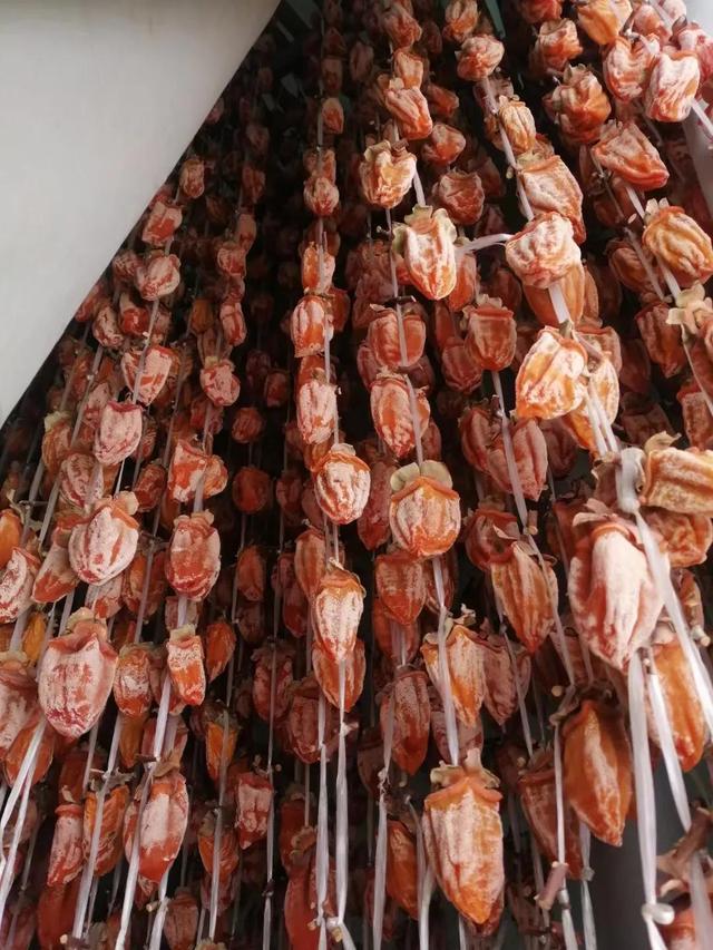 陕西富平吊柿饼，富平吊霜柿饼怎么做