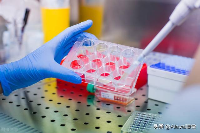 生物学apc是什么意思，A-level生物知识点笔记