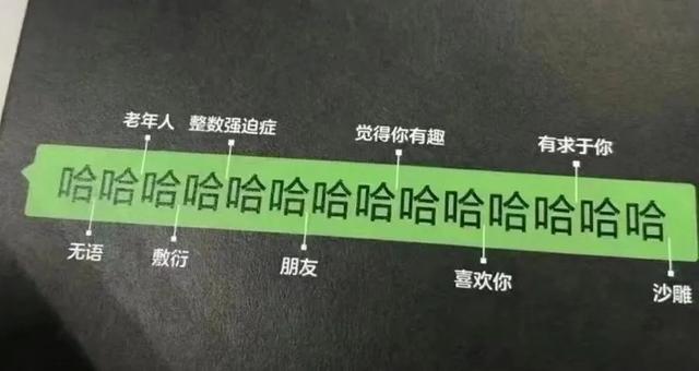 一个哈士奇指着你的表情包啥意思，近视人士福利——哈士奇指人/狗指人