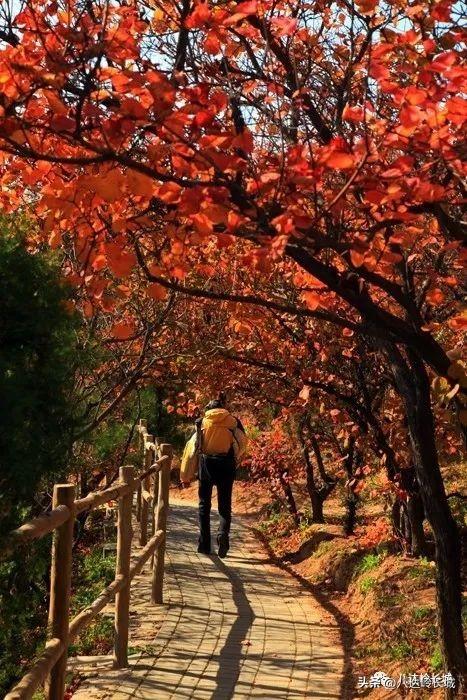 八达岭夜长城游玩攻略，攻略八达岭长城