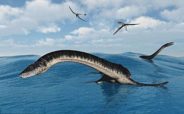 海洋十大霸主排行榜，世界上最可怕的十大海洋生物——虎鲸到底是不是海洋霸主