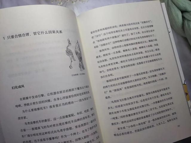 10种好看的鸟，这8种造型又漂亮又好养