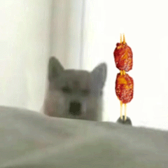 可爱小狗表情包，可爱表情包大全狗子