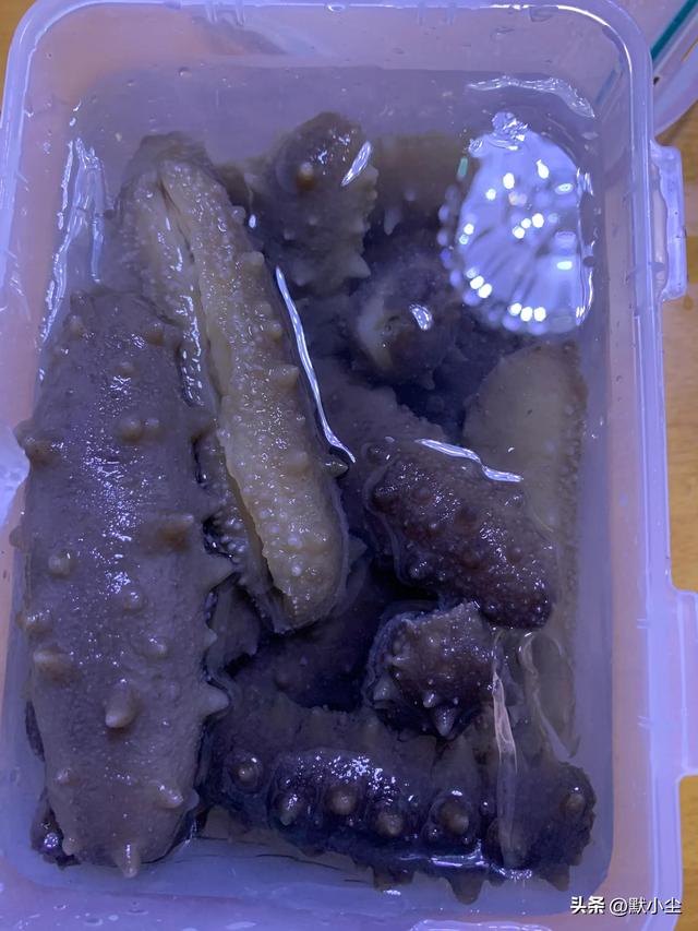 干海参如何泡发的正确方法，海参的泡发方法