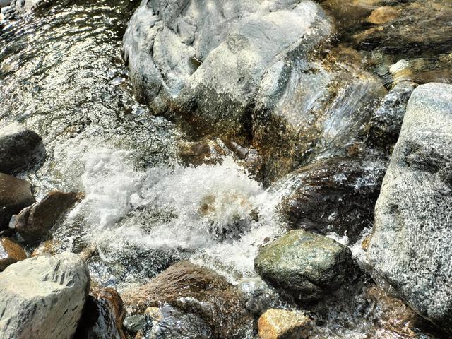 夏天的句子，宁静的夏天