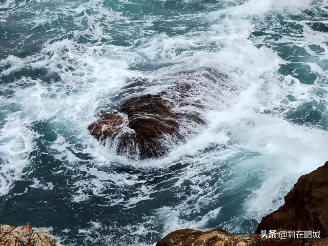 杨梅坑鹿嘴山庄，杨梅坑深圳旅游（鹿嘴山庄寻鹿攻略）