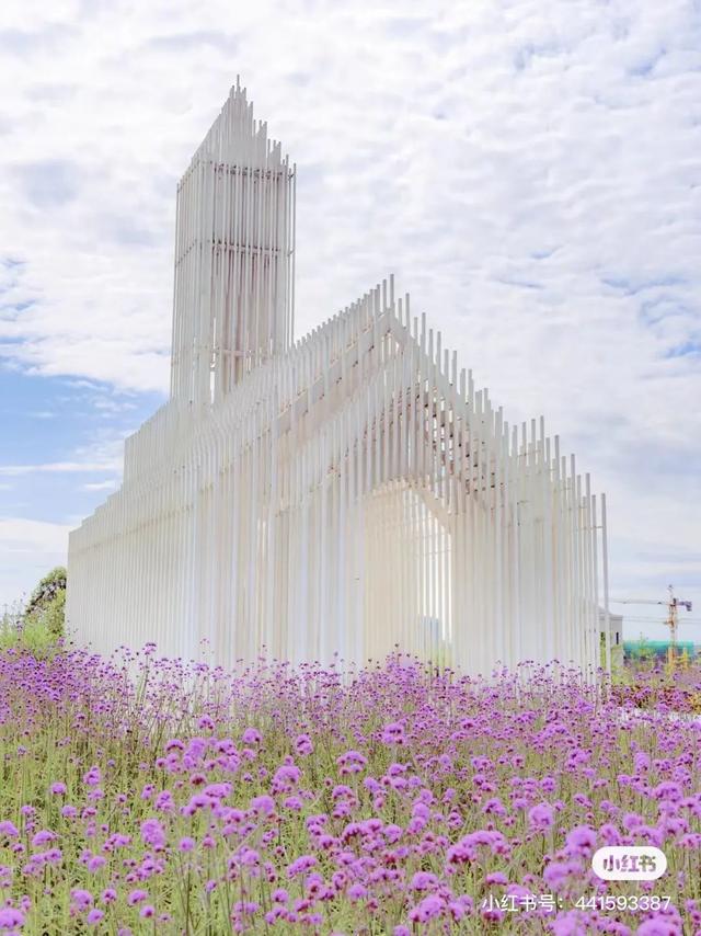 9月成都周边最适合露营，不出成都市区打卡9大露营野餐拍照地