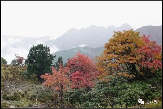 云南旅游交通图，云南自驾游最美线路图一天