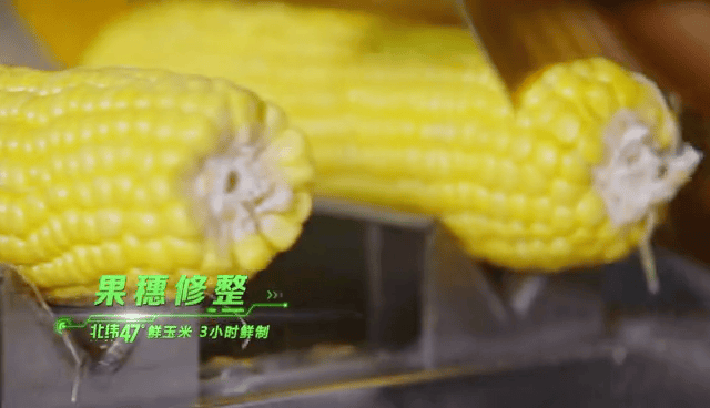 北纬47度是哪，原来你是这样的北纬47