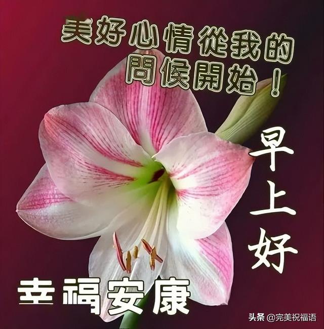 早上好的表情包，2022最火早上好表情包（2022最新早上好表情包）