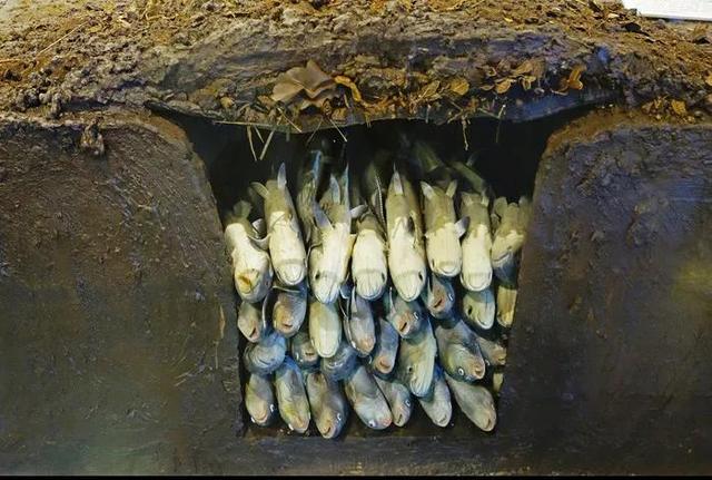 东北人最深度的印象，网友：重工业烧烤，轻工业直播