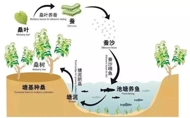 湖州的冬天好冷，湖州入冬后最冷时段来了