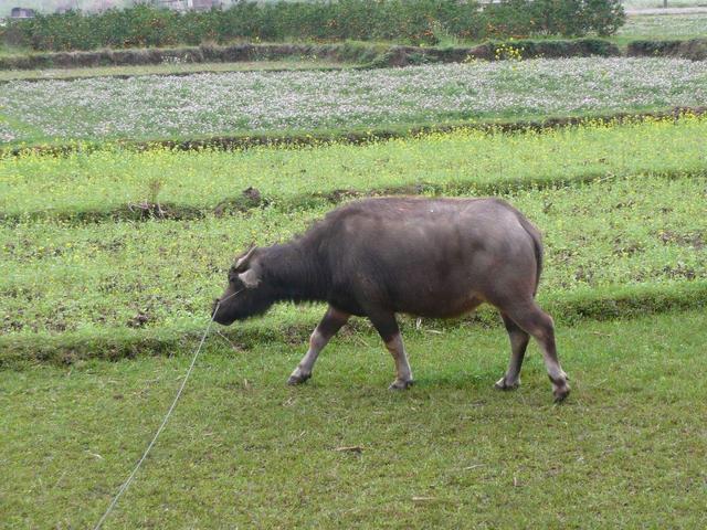 卖油翁故事得到什么启示，读《中国古代寓言》懂小故事中的大道理
