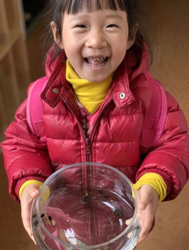 幼儿园自然角在线研讨，小小自然角春意盎然中