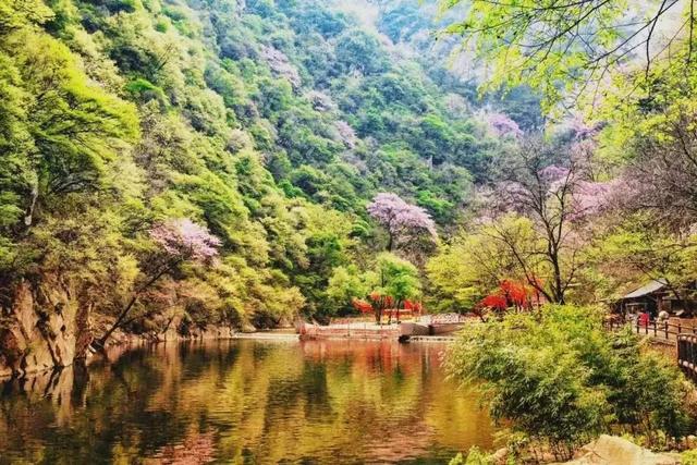 朱雀森林公园旅游攻略一日游，大山深处的朱雀国家森林公园