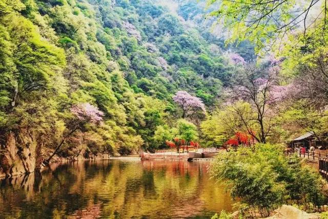 朱雀森林公园旅游攻略一日游，大山深处的朱雀国家森林公园