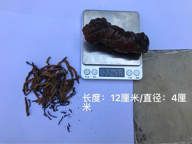 沙漠漆戈壁石收藏价值，戈壁滩上的石中黄金