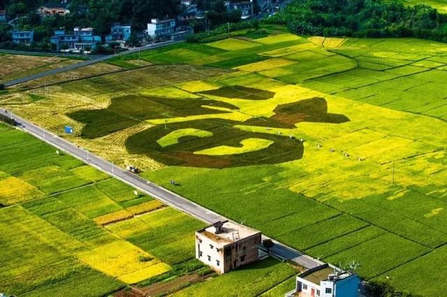 清明踏青好去处，清明小长假踏青旅游攻略