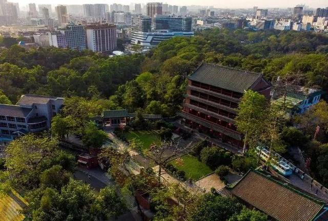 春天去哪里旅游，最适合春天去的7大旅游景点