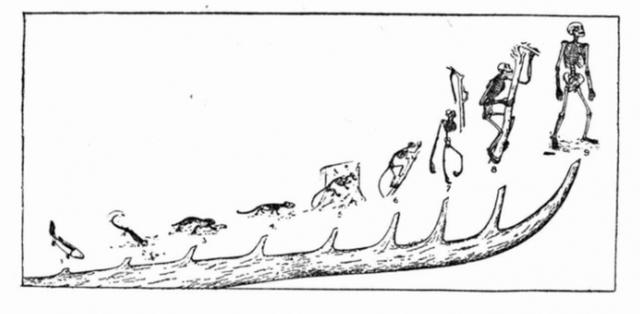 人的祖先是鱼吗，科学家证实人类是鱼进化而来