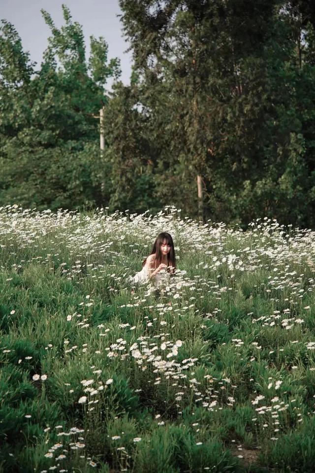 9月成都周边最适合露营，不出成都市区打卡9大露营野餐拍照地