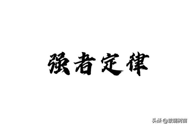 五种强者法则是什么，一切都是自己的选择