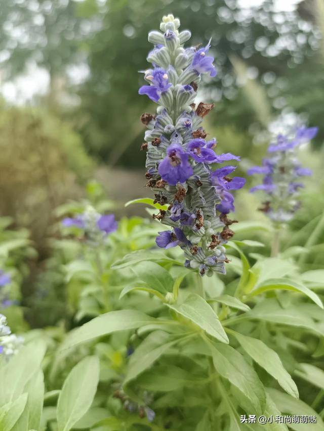 财神进家里是什么预兆，财神进门的征兆（别忘了“1送2供3不4抢5路”）