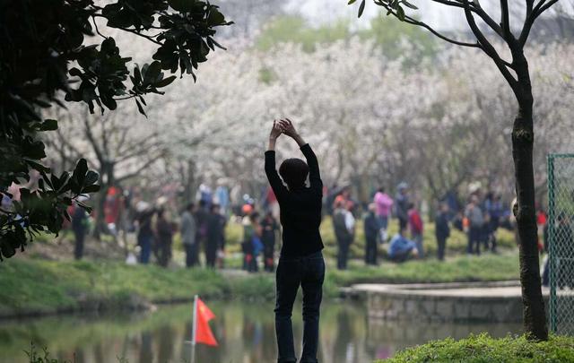 上海十大森林公园排行，曾是上海门票最贵的公园