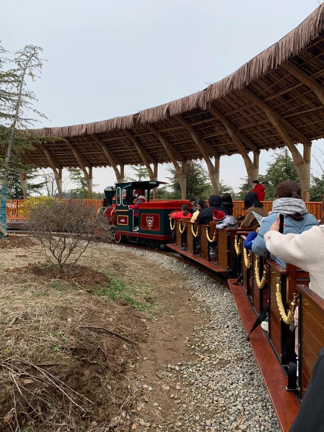 南京冬天哪里好玩，冬季南京遛娃必去景点