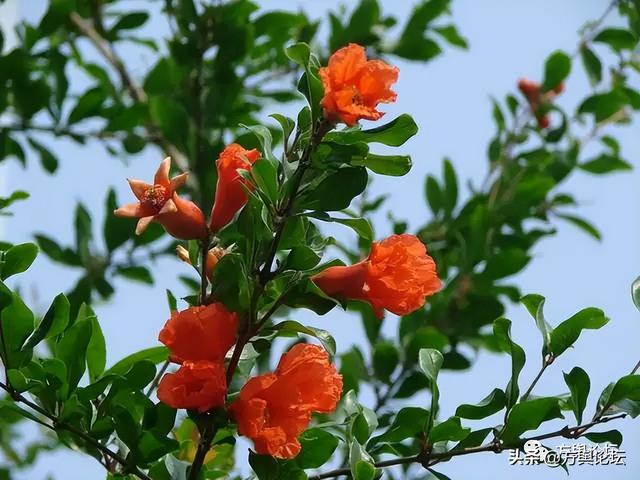 嘉兴老城区指哪里，1907年的嘉兴老城区水门和三塔