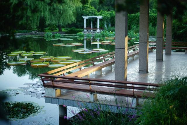 西双版纳旅游必去景点，旅游西双版纳必去景点有哪些（这8大景点一定要去一次）