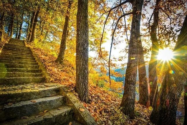 火车沿途风景最佳路线夏天，国内这些赏秋火车路线